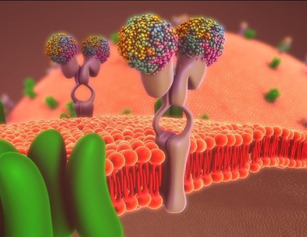 新型纳米孔生物传感器的构建方法及其在特定分子检测中的应用